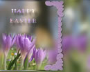 Happy Easter. Wishing you a sunny Easter
