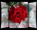 Liebe Wünsche zum 70. Geburtstag