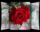 Liebe Wünsche zum 50. Geburtstag